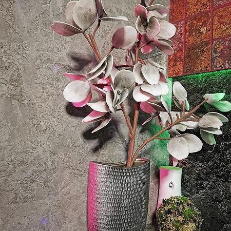 בראשוב Crystal Central Apartment מראה חיצוני תמונה