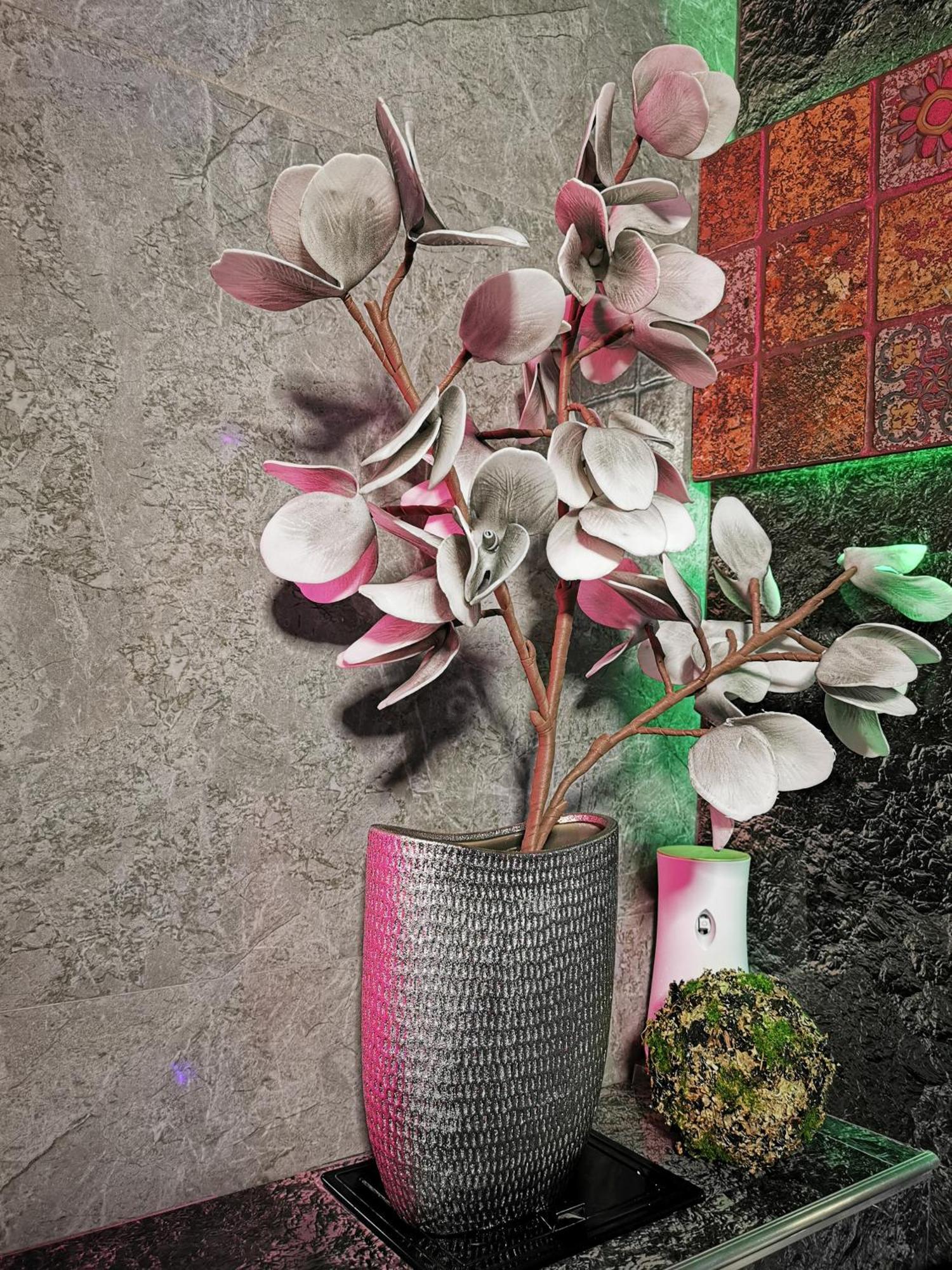 בראשוב Crystal Central Apartment מראה חיצוני תמונה